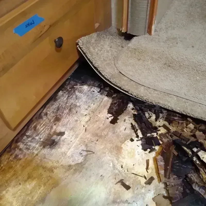 Best Wood Floor Water Damage Service in Southern View, IL